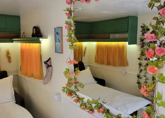 The Bearded Dad Tirana